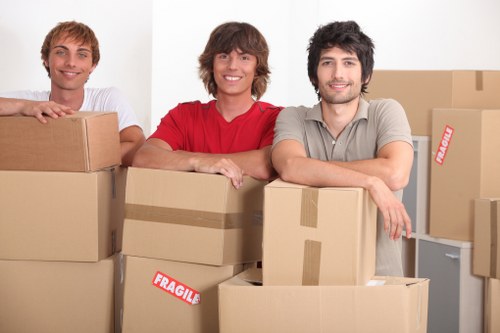 Vehicle choice and access planning for removals
