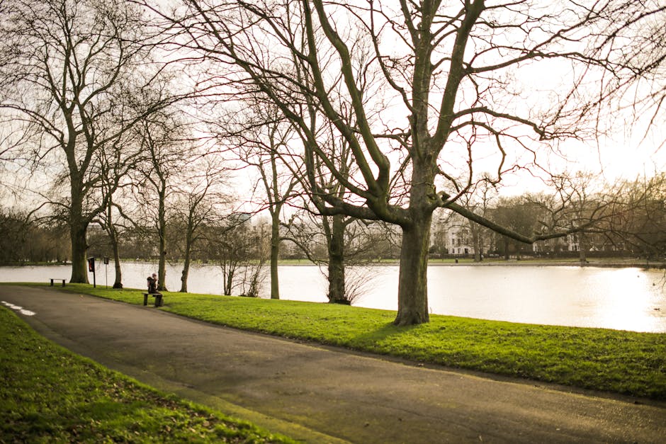 A peaceful scene in Lampton Park featuring a paved pathway alongside a calm body of water, with several leafless trees lining the edge of the park. One person is sitting on a park bench near the water, while another is walking along the pathway. In the background, there are residential buildings partially obscured by trees, and the sky is overcast with soft, diffused lighting. The image captures the natural surroundings and tranquility of the park, which may be used as part of a home relocation and moving logistics context for services such as removals by Removal Company Hounslow, with activities like packing or loading furniture happening nearby.