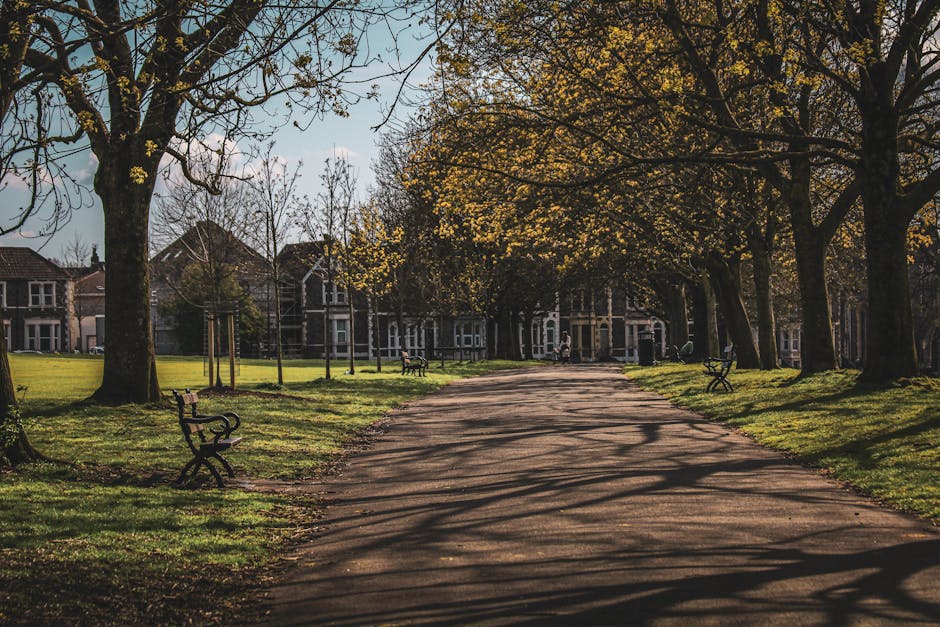 A peaceful scene in Lampton Park featuring a paved pathway alongside a calm body of water, with several leafless trees lining the edge of the park. One person is sitting on a park bench near the water, while another is walking along the pathway. In the background, there are residential buildings partially obscured by trees, and the sky is overcast with soft, diffused lighting. The image captures the natural surroundings and tranquility of the park, which may be used as part of a home relocation and moving logistics context for services such as removals by Removal Company Hounslow, with activities like packing or loading furniture happening nearby.